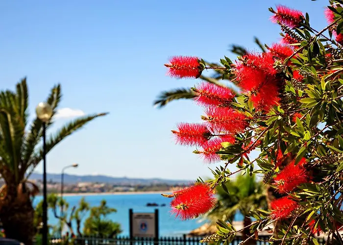 Stam's Paradise Appartement