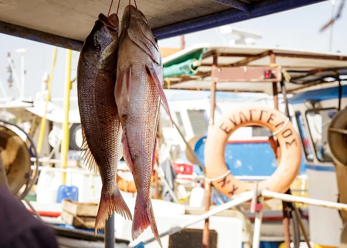 Appartement Stam's Paradise Chania (Crete)