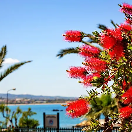 Stam's Paradise Apartman