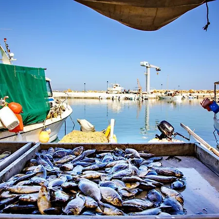 Stam's Paradise * Chania (Crete)