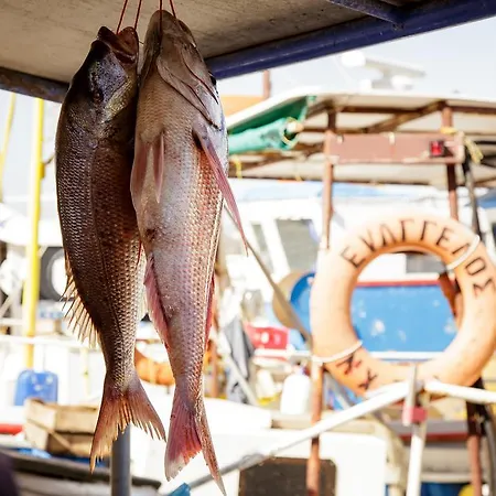 Appartamento Stam's Paradise La Canea