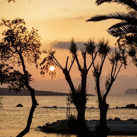 Stam's Paradise * La Canea