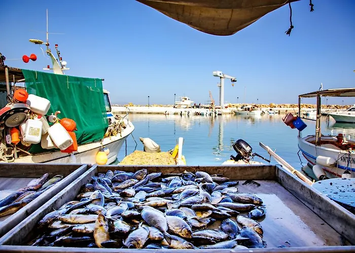 Stam's Paradise * Chania (Crete)