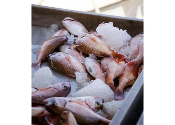 Stam's Paradise La Canée